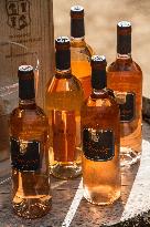 Illustration - Corse du Sud - France