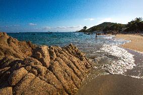 Illustration - Corse du Sud - France