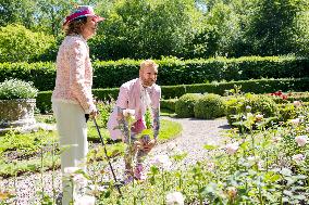 SOLLIDEN ALLOTMENT EXHIBITION