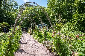 SOLLIDEN ALLOTMENT EXHIBITION