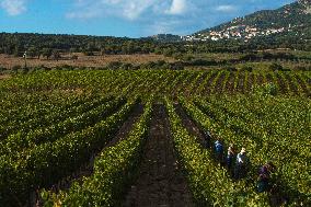 Illustration - Haute-Corse - France