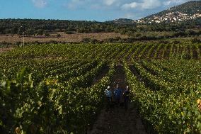 Illustration - Haute-Corse - France