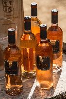 Illustration - Haute-Corse - France