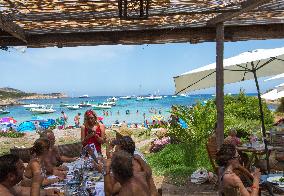 Illustration - Haute-Corse - France