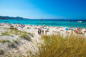 Illustration - Haute-Corse - France
