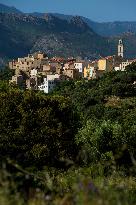 Illustration - Haute-Corse - France