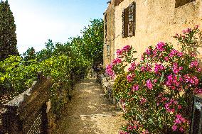 Illustration - Haute-Corse - France