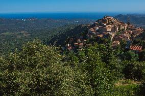 Illustration - Haute-Corse - France
