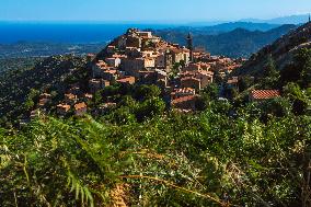 Illustration - Haute-Corse - France