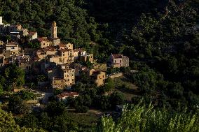 Illustration - Haute-Corse - France