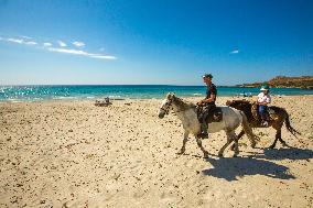 Illustration - Haute-Corse - France