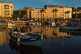 Illustration - Corse du Sud - France