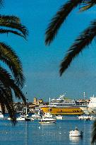 Illustration - Corse du Sud - France