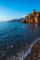 Illustration - Corse du Sud - France