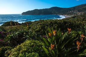 Illustration - Corse du Sud - France