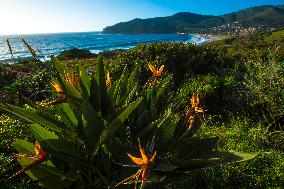 Illustration - Corse du Sud - France