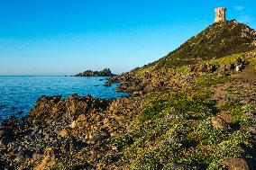 Illustration - Corse du Sud - France