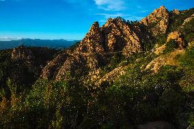 Illustration - Corse du Sud - France