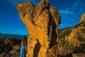 Illustration - Corse du Sud - France
