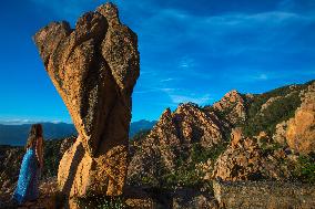 Illustration - Corse du Sud - France