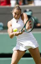 Tennis: Wimbledon championships