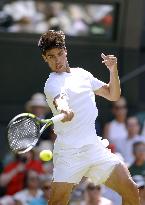 Tennis: Wimbledon championships