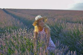 First Lavender Harvests Begin in Valensole as Tourists Flock to Provence Fields