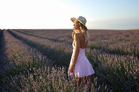 First Lavender Harvests Begin in Valensole as Tourists Flock to Provence Fields