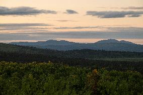 LOUSSAVAARA
