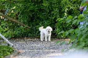 Royal Family s Traditional Photo Session - The Hague