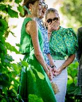 Royal Family s Traditional Photo Session - The Hague
