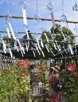Wind chime festival at western Japan temple