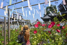 Wind chime festival at western Japan temple