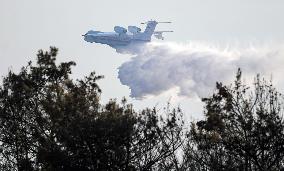 Turkiye Evacuates Over 50,000 Amid Wildfire