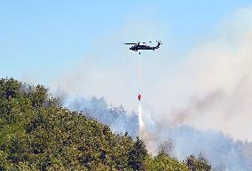 Turkiye Evacuates Over 50,000 Amid Wildfire