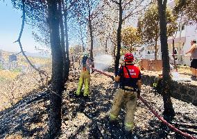 Turkiye Evacuates Over 50,000 Amid Wildfire