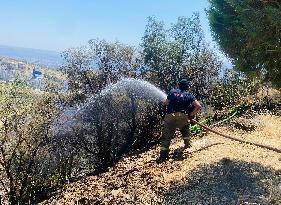 Turkiye Evacuates Over 50,000 Amid Wildfire