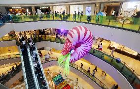 Giant Marine Biological Art Installation