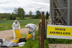 African swine fever