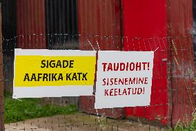 African swine fever