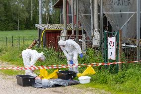 African swine fever