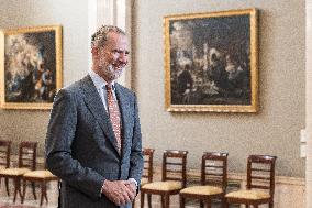 King Felipe VI during an audience - Seville