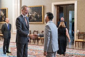 King Felipe VI during an audience - Seville