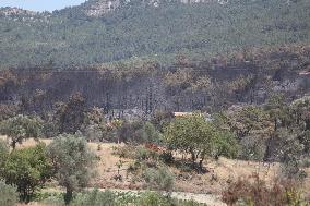 Izmir Wildfires 50 Thousand People Evacuated - Turkey