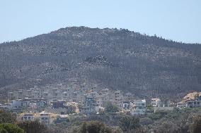 Izmir Wildfires 50 Thousand People Evacuated - Turkey