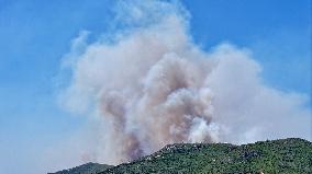 Izmir Wildfires 50 Thousand People Evacuated - Turkey