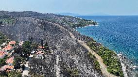 Izmir Wildfires 50 Thousand People Evacuated - Turkey