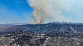 Izmir Wildfires 50 Thousand People Evacuated - Turkey