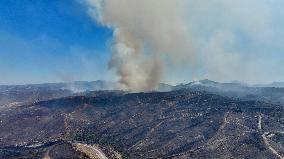 Izmir Wildfires 50 Thousand People Evacuated - Turkey