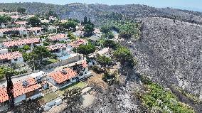 Izmir Wildfires 50 Thousand People Evacuated - Turkey